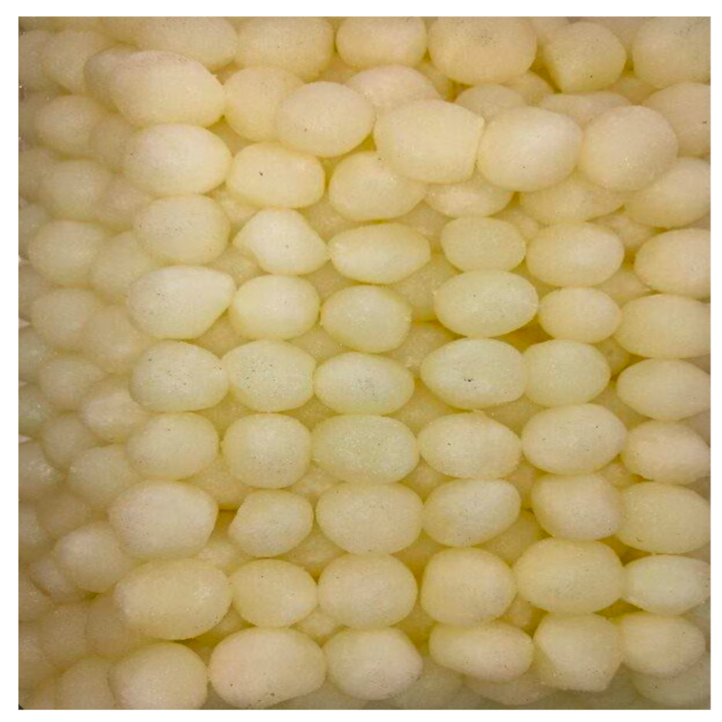Rasgulla